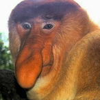 Big_Bruh824's Avatar'