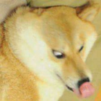 ProphetAlpha's Avatar