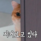 Jjxqi's Avatar'
