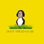 xanderedev's Avatar'