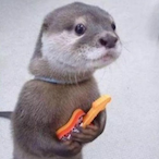 Ez_Tonkias's Avatar'