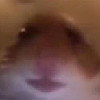 Resilientpeach's Avatar'