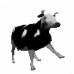 FlyingCowSV's Avatar'