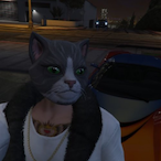 MASK_GrayCat's Avatar'