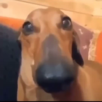 Kappa4k.'s Avatar'