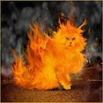 Autismkater's Avatar'