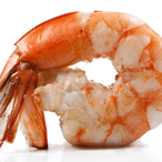 shrimpplayer6's Avatar'