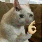 kodaroonie's Avatar'