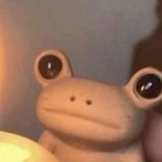 mistafrosch's Avatar'