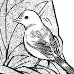 selios_'s Avatar'