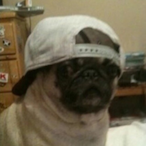 JosegonzCarry's Avatar'