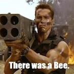 KING_SPEEL95's Avatar'