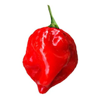 Habanero_.'s Avatar'