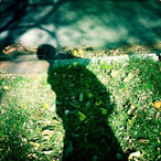 Moses_Chan.CN's Avatar'
