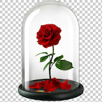 chrisi_2's Avatar'