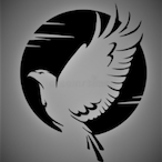 BirkyLaFiesta's Avatar'