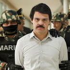 danielamon's Avatar'