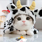 Cat-Brother-ECS's Avatar'