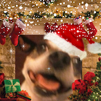 Mom.hotl's Avatar'