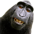 PickledMayo.'s Avatar'