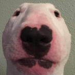 UseTh3F0rce's Avatar