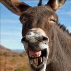 I___--___-__-_I's Avatar'