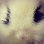 VoidAimLock's Avatar'