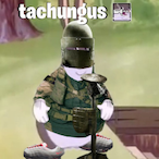 tdxffy's Avatar'
