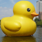 Q_Gang2012's Avatar'