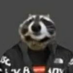 raccdrip's Avatar'