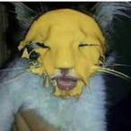eldomaburras22's Avatar'
