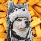 FrostyPosterior's Avatar'