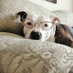 DIOMEDES-_'s Avatar'