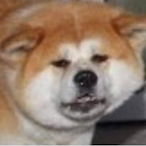 VindictivViking's Avatar