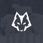 MrWolf.-'s Avatar'