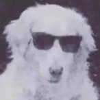 ImBadGamez's Avatar'