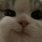 yer-_'s Avatar'