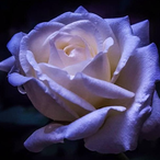 TheFather_0_'s Avatar'