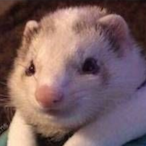 FlavoredWaffle's Avatar'