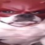 FunkyM0nk_'s Avatar'