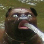 ASUdemigod's Avatar'