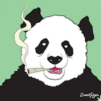 TheKiwi7's Avatar'