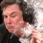 Lizard_King71's Avatar'