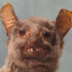 Actual_Garbage's Avatar'