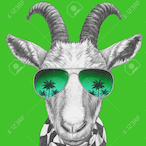 MrPigeon1236's Avatar'