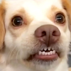 NiagaraBall801's Avatar'