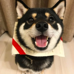 impupupOvO's Avatar'