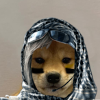 ShamimaBgum's Avatar'