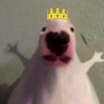 ItZ_wumbo420's Avatar'