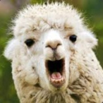 Iwatch nunnI's Avatar'